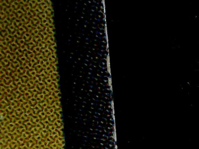 SN35832