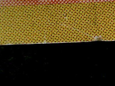 SN35877