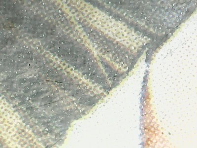 SN35906