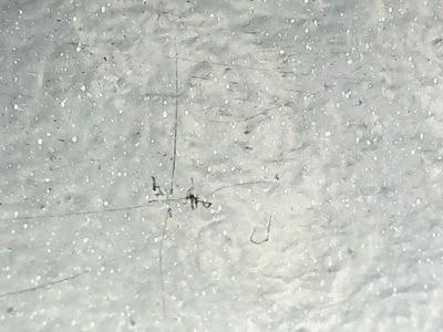 SN35906
