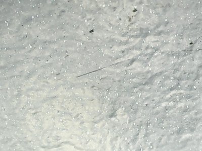 SN35906