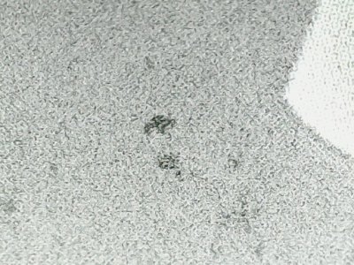 SN35938
