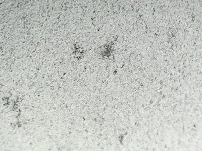 SN35938