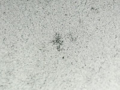 SN35938