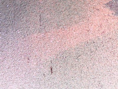 SN35939