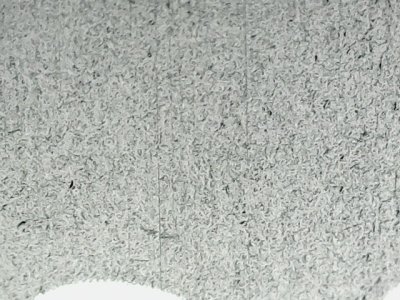SN35939