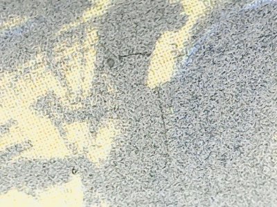 SN35942
