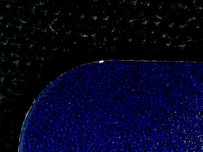 SN35951