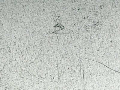 SN35958