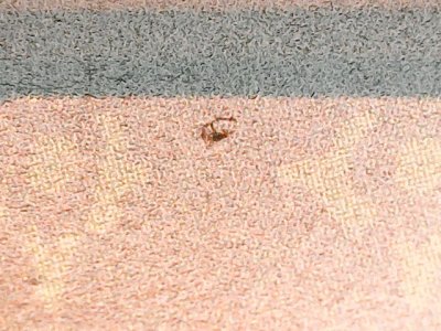 SN35961