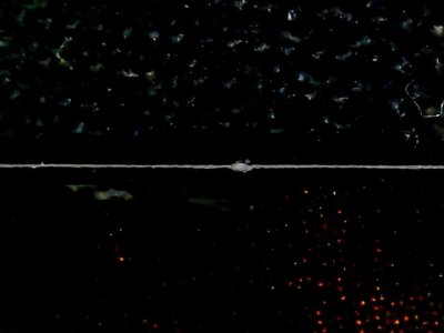 SN35973