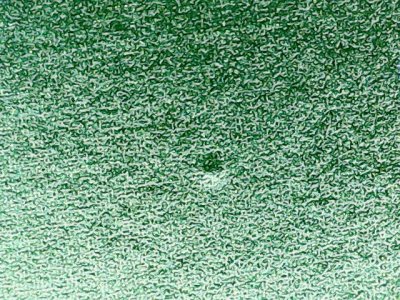 SN36005