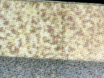 SN36057