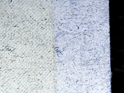 SN36059
