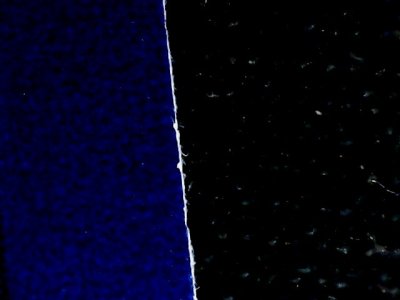 SN36060