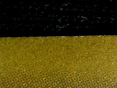 SN36068