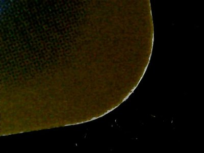 SN36071