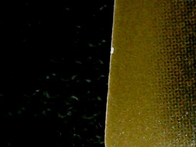 SN36071