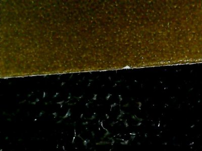 SN36072