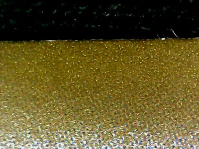 SN36072