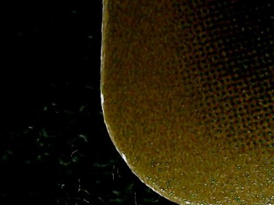 SN36074
