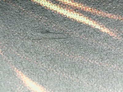 SN36075