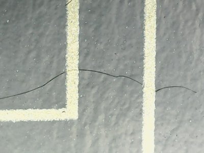 SN36128