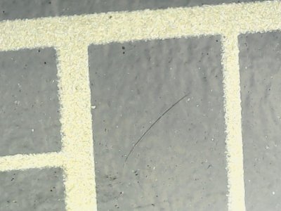 SN36129