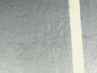 SN36129