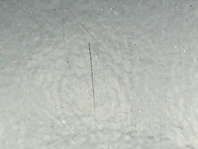 SN36130