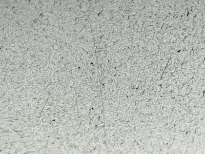 SN37204