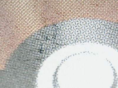 SN36141