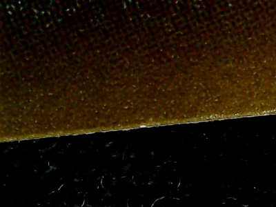 SN36161
