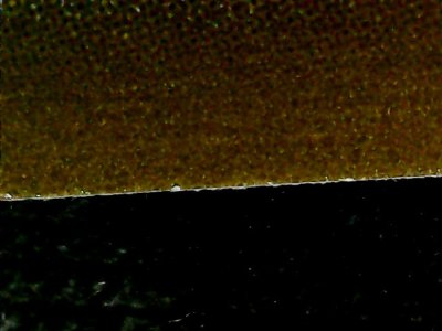 SN36162