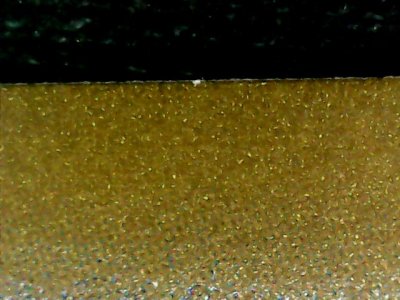 SN36166