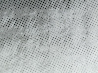 SN36286