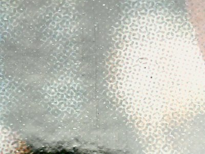 SN36288