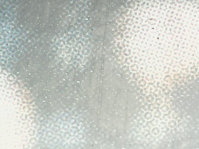 SN36288