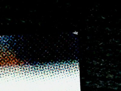 SN36288