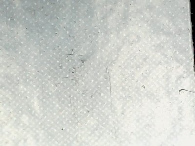 SN36289