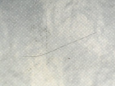 SN36289