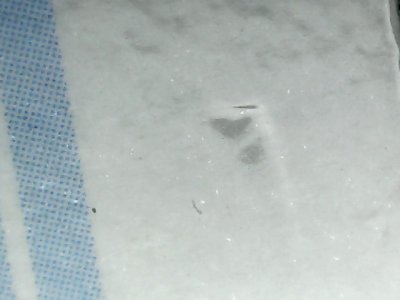 SN36291