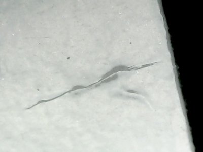 SN36291