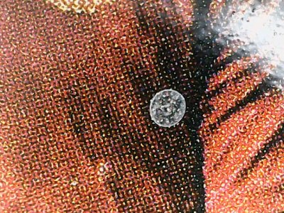 SN36293