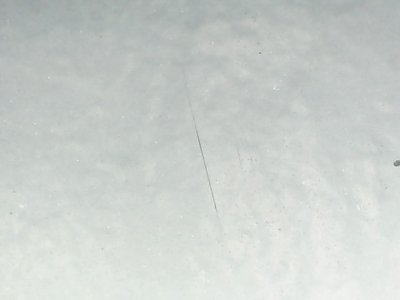 SN36293