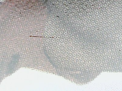 SN36295