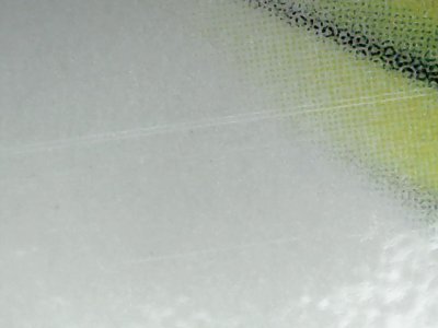 SN36295