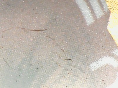 SN36297
