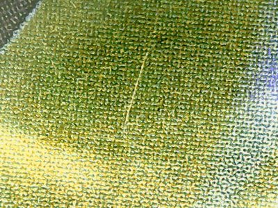 SN36297