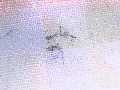 SN36299